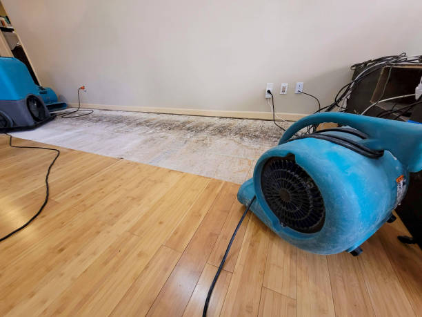 Professional Water Damage Repair technician working in Ohio, OH